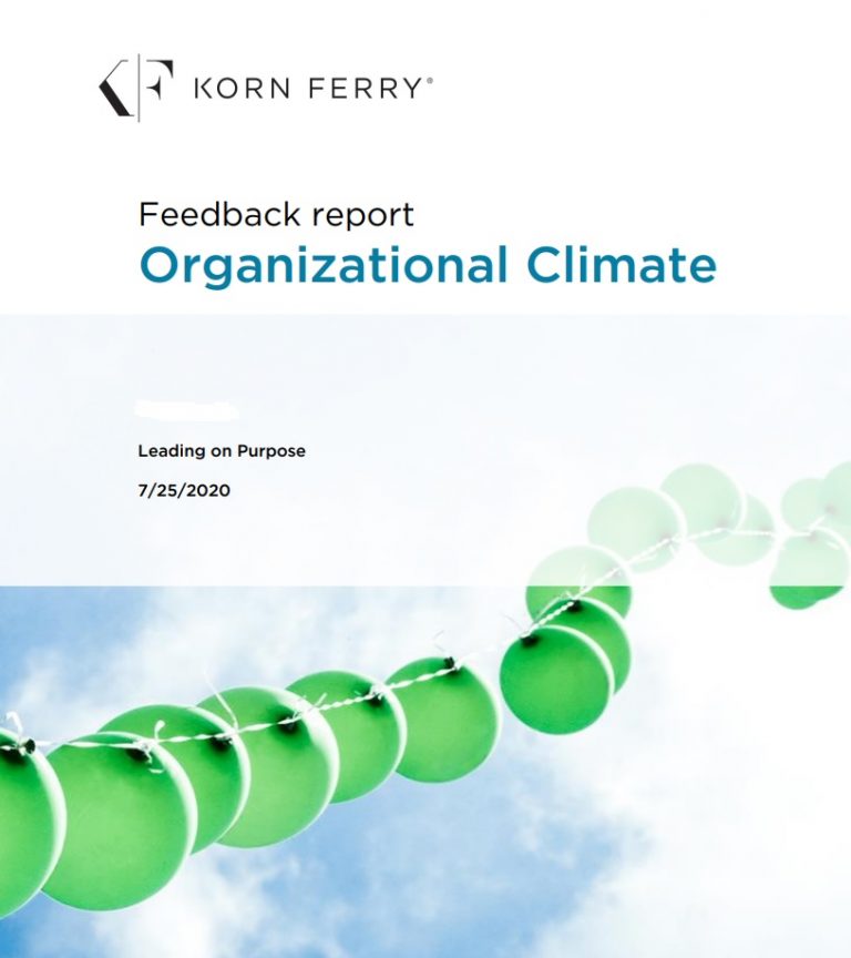 Korn Ferry/Hay Group Styles and Climate – Leading on Purpose