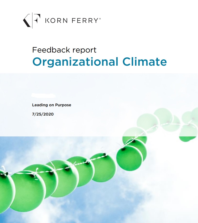 Korn Ferry/Hay Group Styles and Climate – Leading on Purpose
