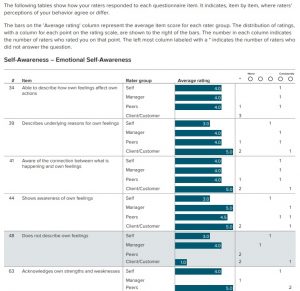 Korn Ferry/Hay Group Emotional Intelligence – Leading on Purpose